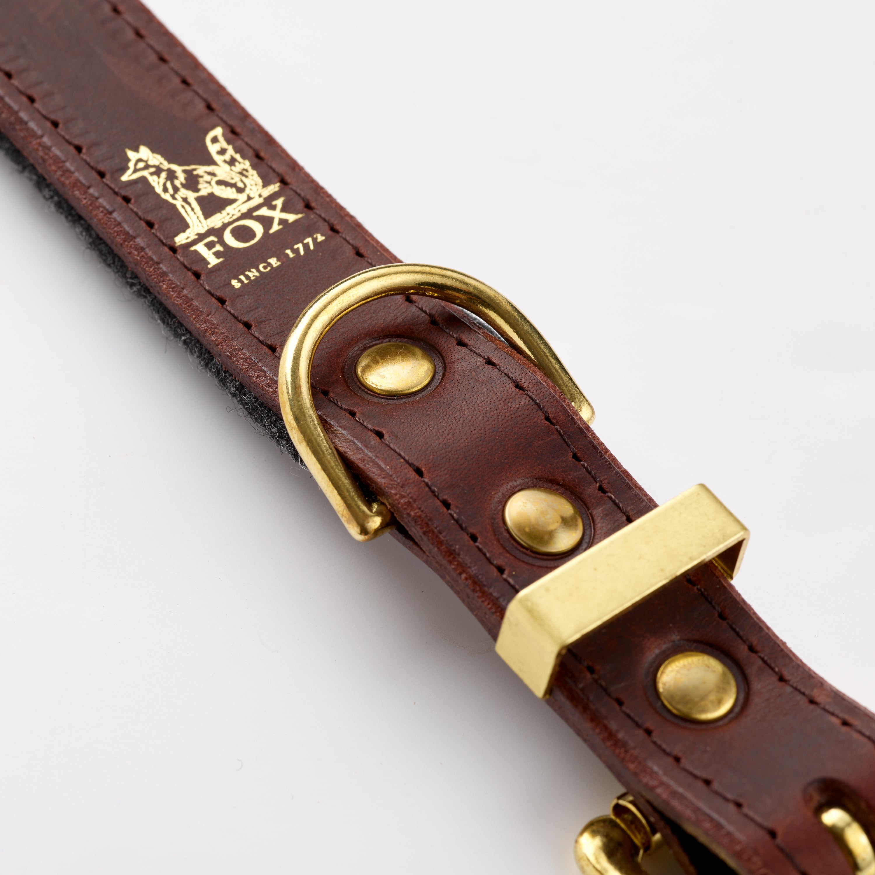 Fox x Storeys & Tails Dark Chocolate Straight Collar