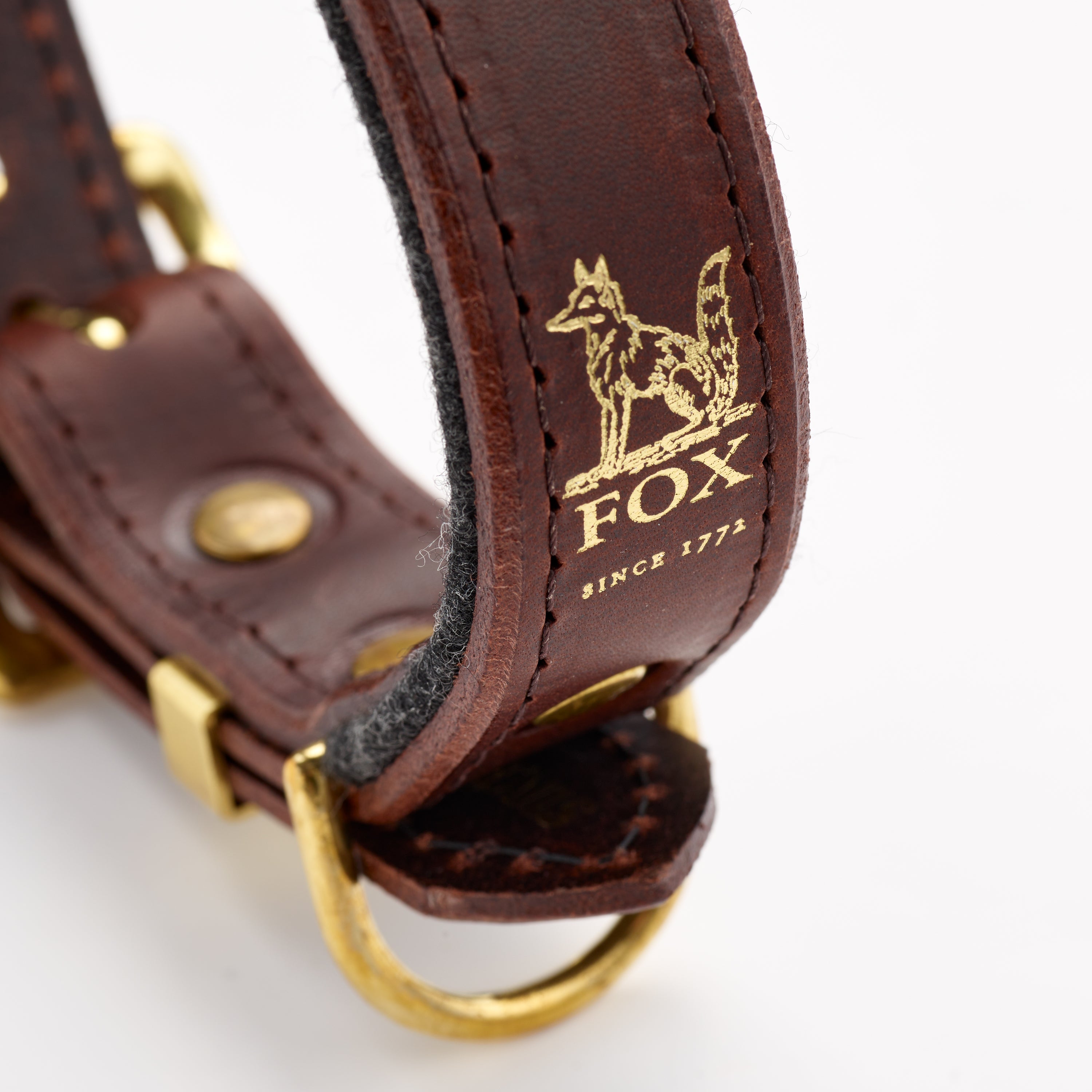 Fox x Storeys & Tails Dark Chocolate Straight Collar